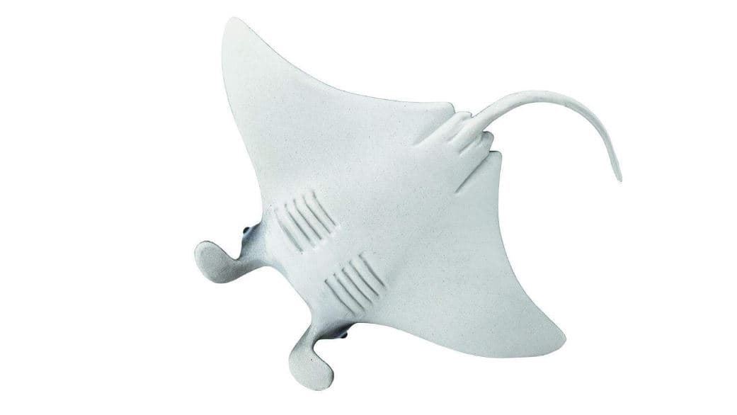 Manta raya safari 277729 - Imagen 2