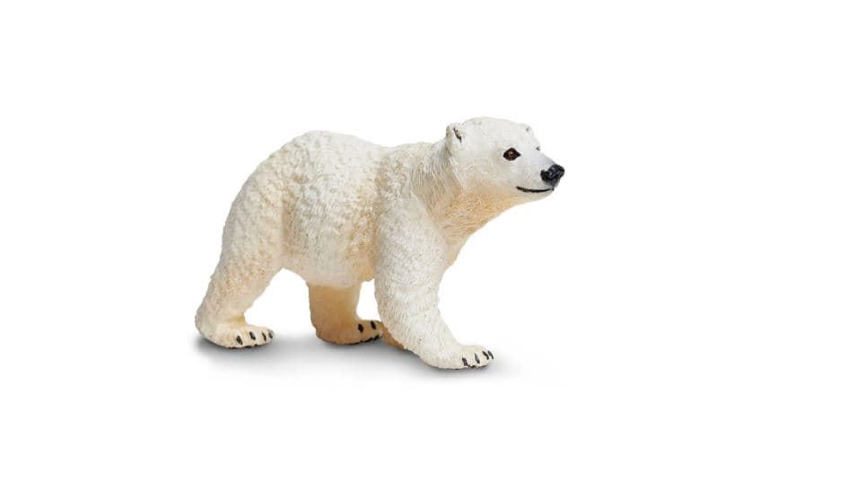 Oso polar cachorro 273429 safari - Imagen 1