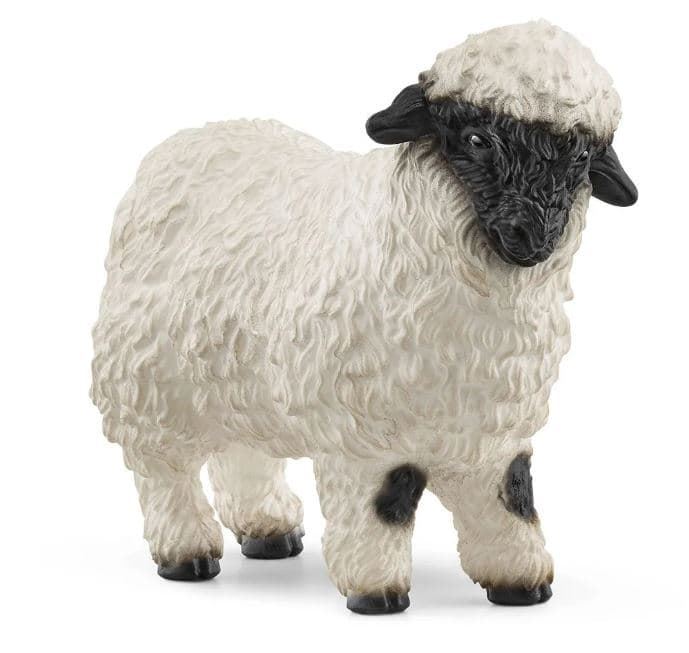 Oveja de nariz negra de Valais SCHLEICH 13965 - Imagen 1