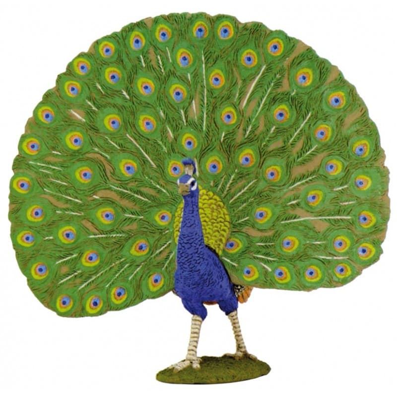 Pavo real papo 51161 - Imagen 1