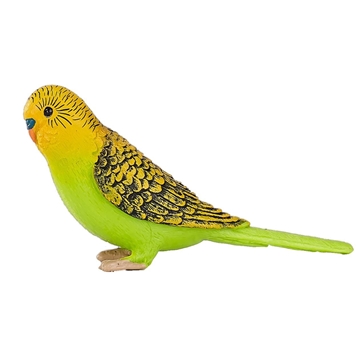 Periquito verde - Imagen 1