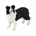 Perro de juguete border collie papo 54008 - Imagen 1