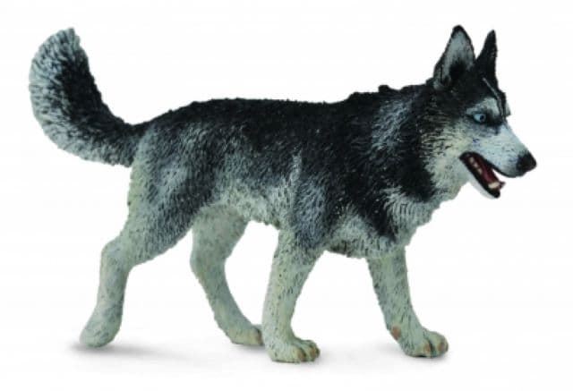 Perro de juguete husky - Imagen 1