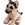 Perro mini de peluche wild republic - Imagen 1