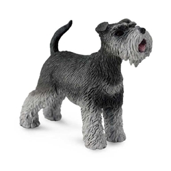 Perro schnauzer collecta - Imagen 1