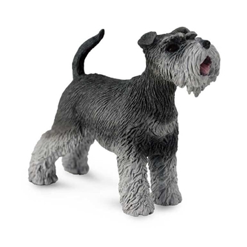 Perro schnauzer collecta - Imagen 1
