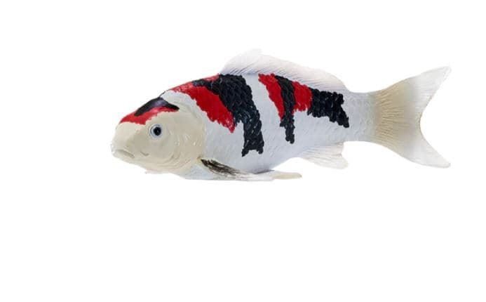 Pez Carpa Koi - Showa Sanshoku juguete mojo 381103 - Imagen 1