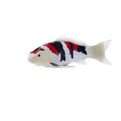 Pez Carpa Koi - Showa Sanshoku juguete mojo 381103 - Imagen 1