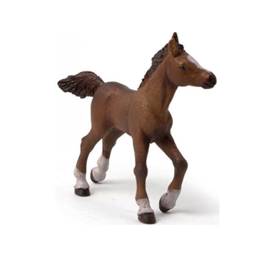 Potro anglo-árabe PAPO 51076 - Imagen 1