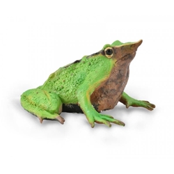 Rana de Darwin de juguete - Imagen 1
