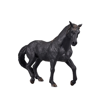 Semental negro andaluz - Imagen 1