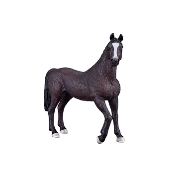 Semental negro Árabe - Imagen 1