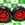 Set ruedas traseras RZR 900 Peg Perego - Imagen 1
