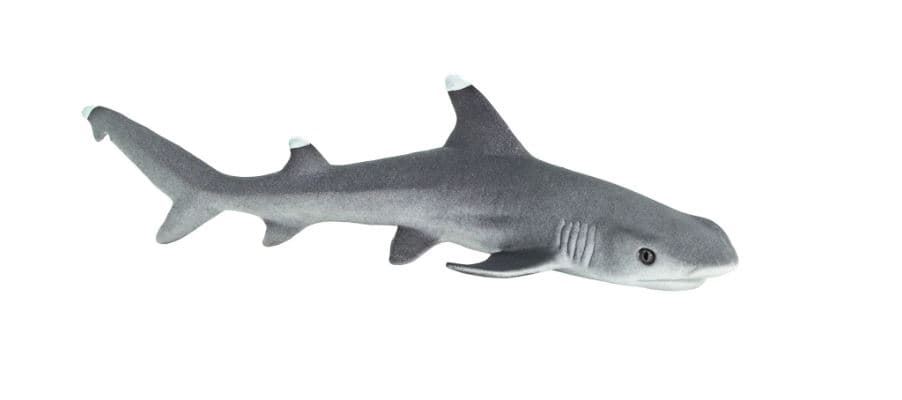 Tiburón de arrecife de puntas blancas juguete safari 100100 - Imagen 1