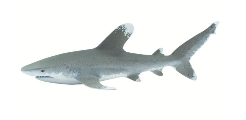 Tiburón oceánico de puntas blancas juguete safari 100271 - Imagen 1