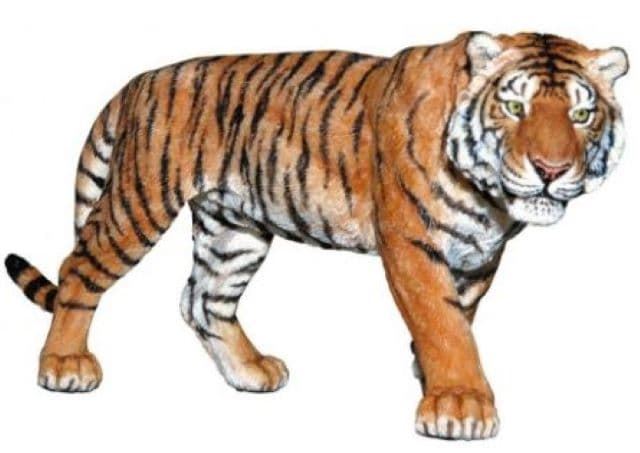 Tigre PAPO 50004 - Imagen 1