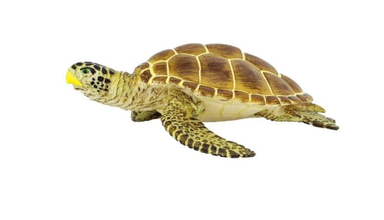 Tortuga boba juguete safari 220229 - Imagen 1