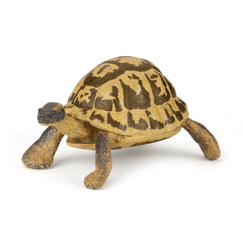Tortuga de hermann papo 50264 - Imagen 1