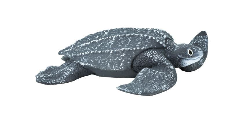 Tortuga laúd juguete safari 202429 - Imagen 1