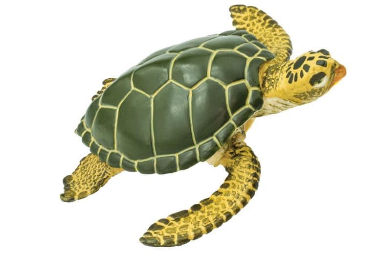 Tortuga marina verde de juguete safari - Imagen 2
