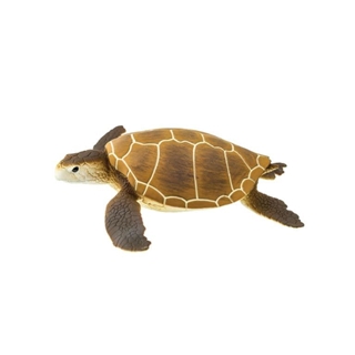 Tortuga marina verde safari 202329 - Imagen 1