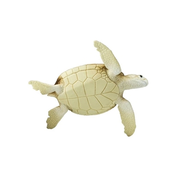 Tortuga marina verde safari 202329 - Imagen 2