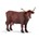 Vaca Salers PAPO 51042 - Imagen 1