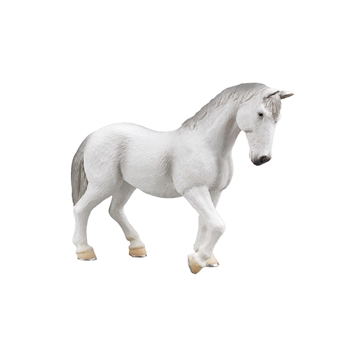 Yegua Lipizzaner - Imagen 1